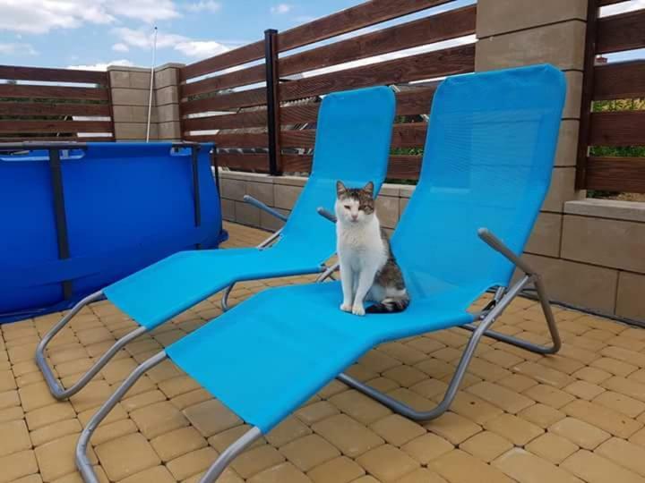 Apartamenty Maja ティリチ エクステリア 写真